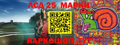 МДПВ Можга