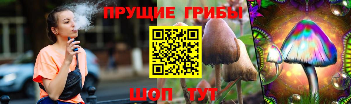 Псилоцибиновые грибы Psilocybe Ульяновск